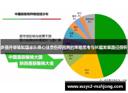 多措并举破解国家队核心球员伤停困局的策略思考与长期发展路径探析
